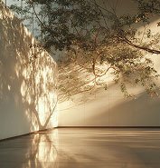 Nature in architecture