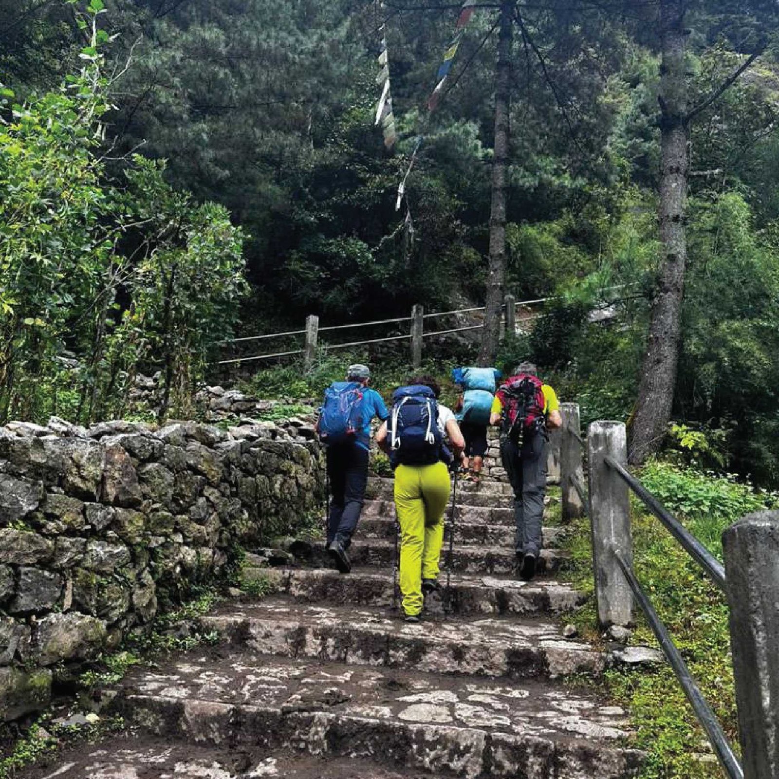 Somatic garden pavilion